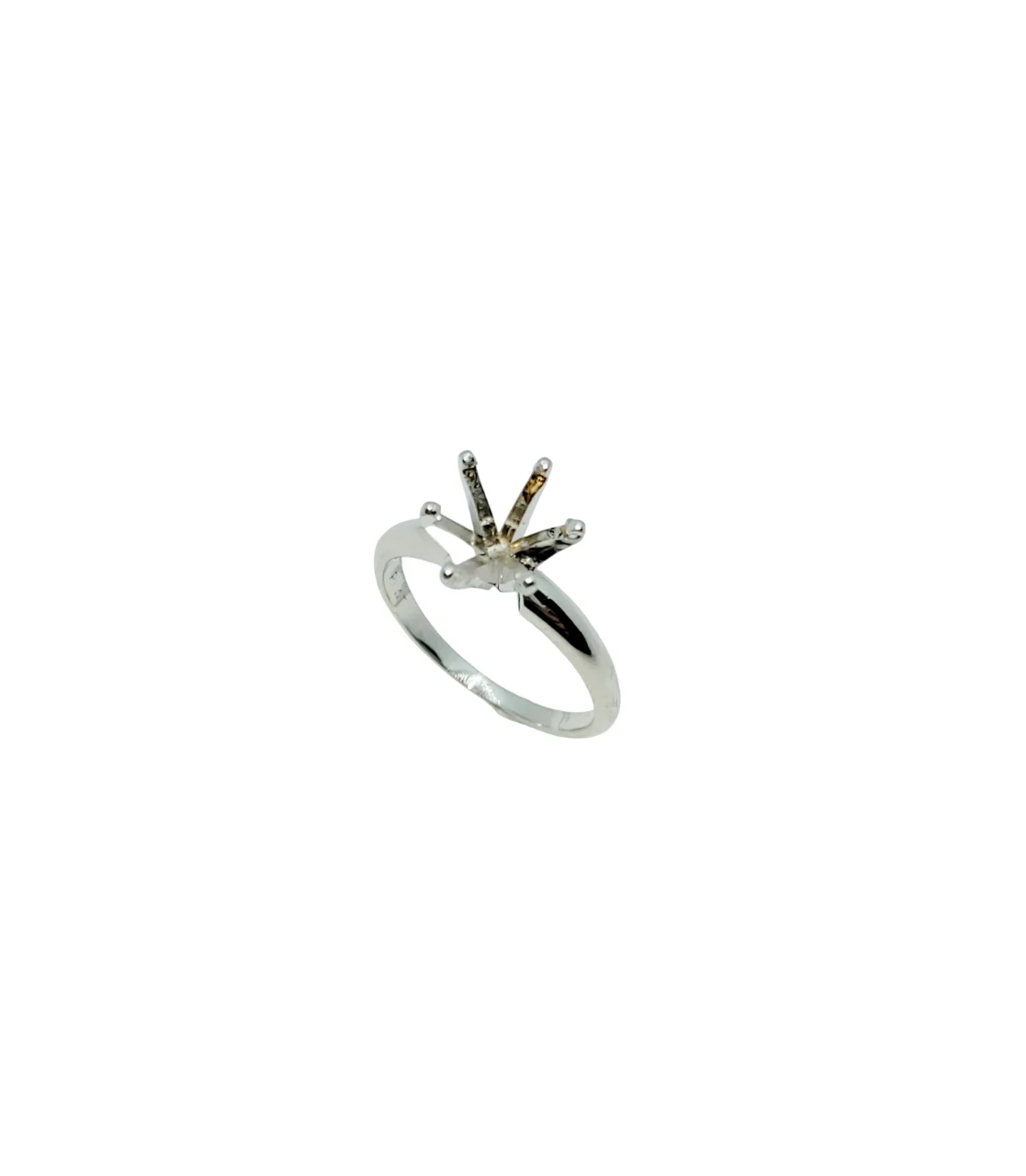 Platinum 6 Prong Setting