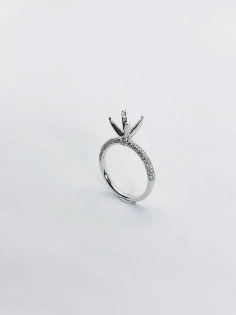 18K White Gold Natural Diamond Pave Setting